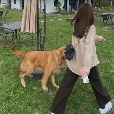 国之语音